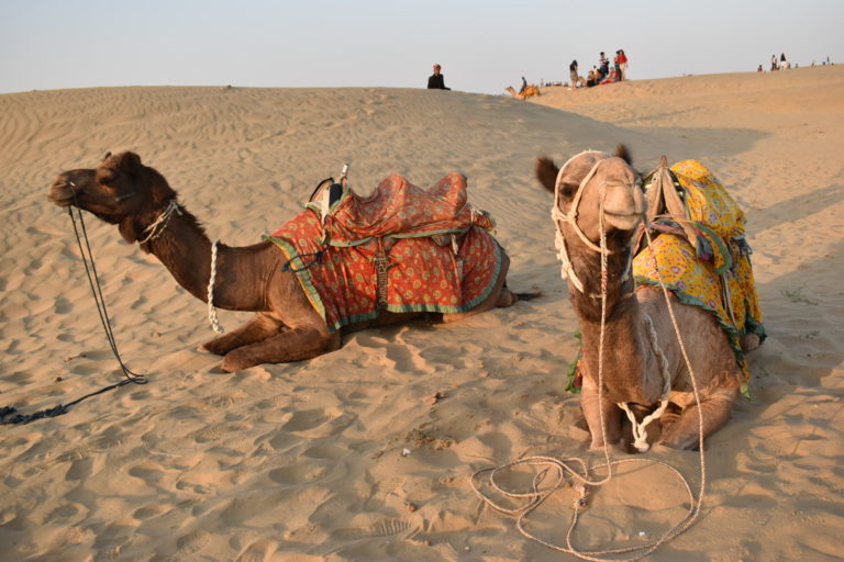 Jaisalmer - Judy and Valerie On the Road